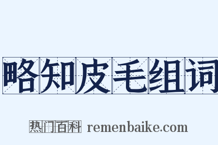 略知皮毛组词是什么意思的图片